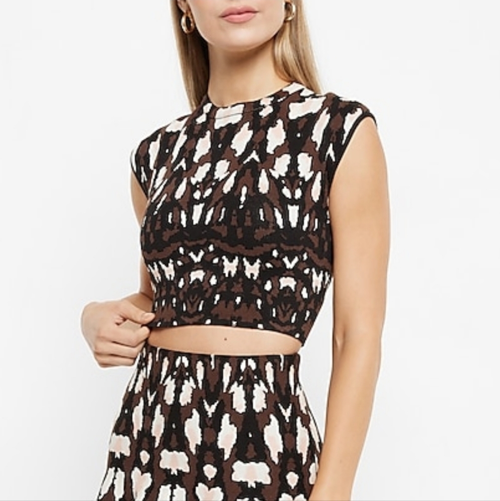 NWT Express Cropped Sweater